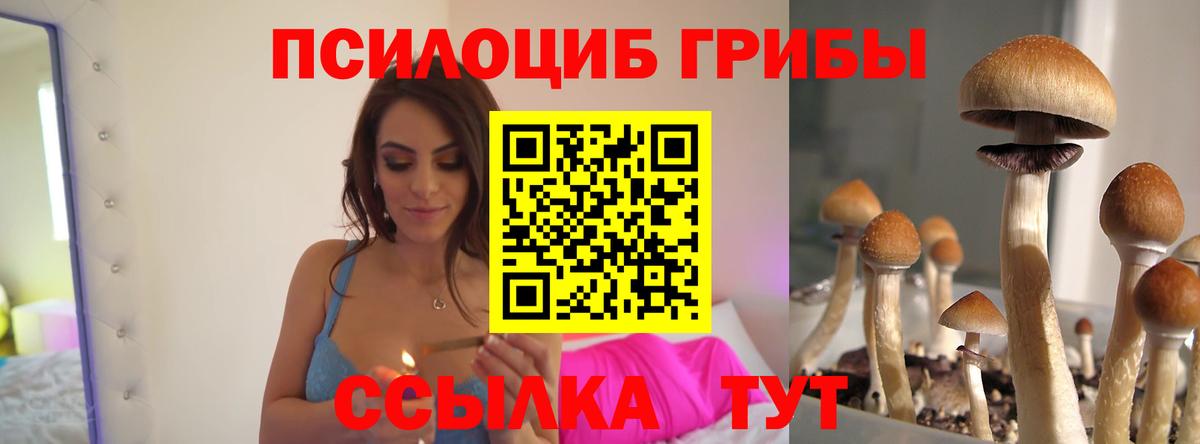 Псилоцибиновые грибы Magic Shrooms Таганрог